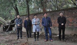 河北唐县新爆料最新消息,揭秘神秘事件背后的真相